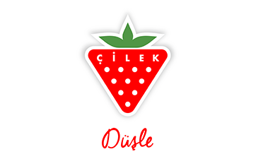 Çilek Мебели